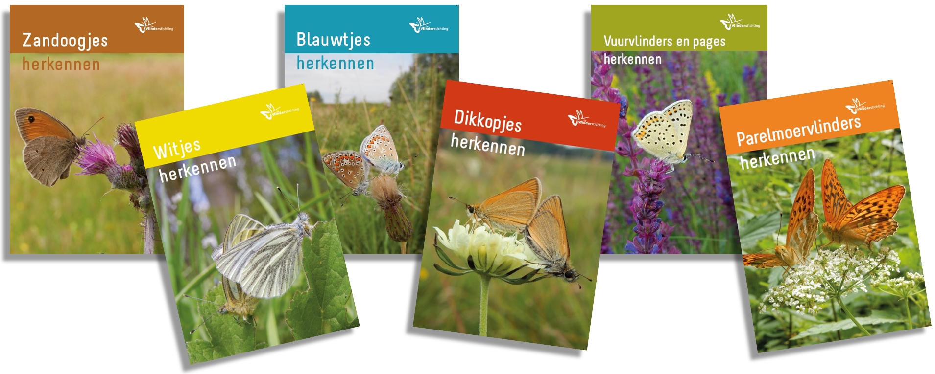 De Vlinderstichting